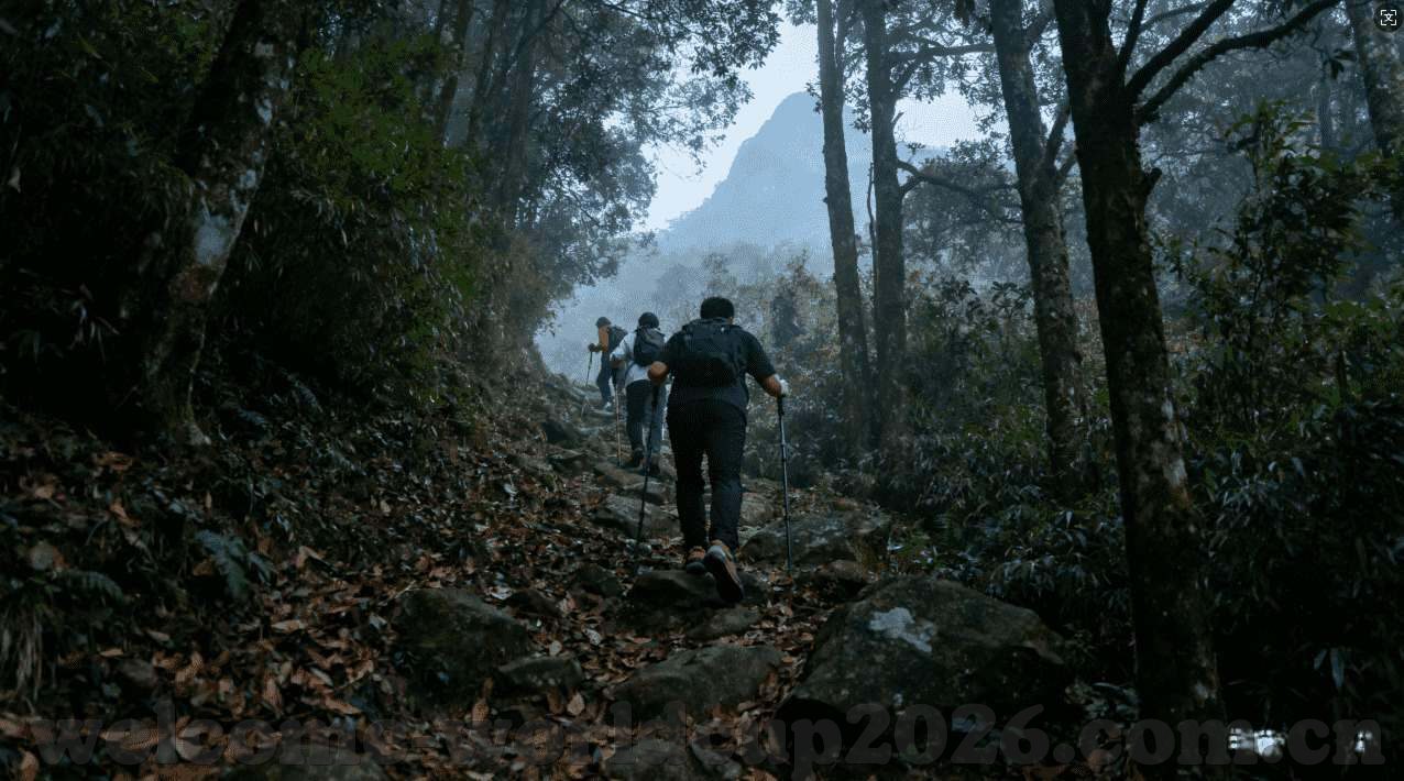 世界杯体育投注平台-世界杯体育赛事中的投注平台，如何安全、合法地参与